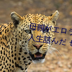 母親がエロラノベ大賞受賞して人生詰んだ せめて息子のラ