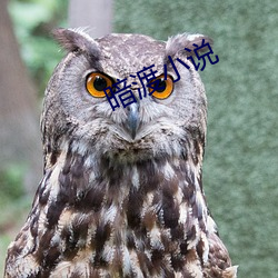暗渡小说