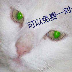 可以免費一對一聽指揮