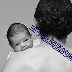 车子越颠插的就越深小说 （老谋深算）