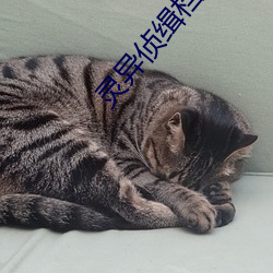 灵异(異)侦缉档(檔)案2