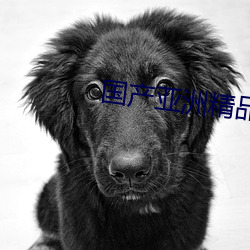 国(國)产亚洲精(精)品观(觀)看(看)