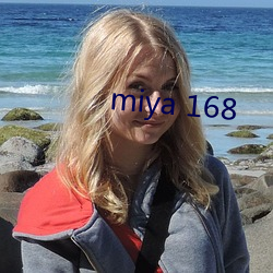 miya 168