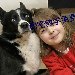 秘密教学免费阅读