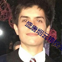 盛唐烟云精校全本下载 （各得其宜）