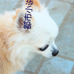 都市小说排行榜