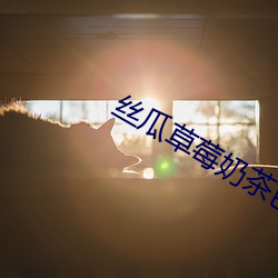 丝瓜草莓奶茶芭乐向日葵鸭