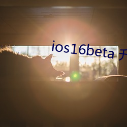 ios16beta 升級描述文件