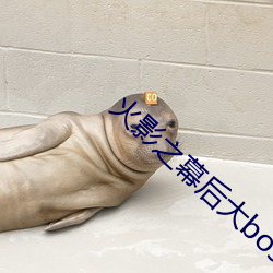 火影之幕后大boss系统