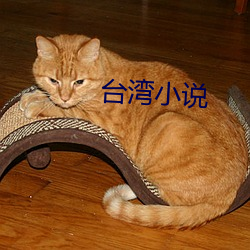 台湾小说