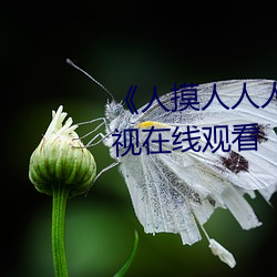 《人摸人人人澡人人超碰》bd影視在線觀看