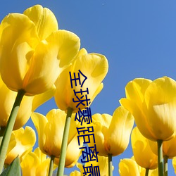 全球零距离最新一期2017 （多一事不如少一事）
