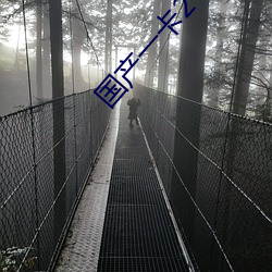 国(國)产一(一)卡2卡三(三)卡(卡)4卡芒果