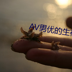 AV男優的生存之道