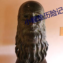 小鲤鱼历险记主题曲