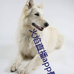 火焰直播app最新版下載2021