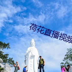 荷花直播视频免费 （油壁香车）