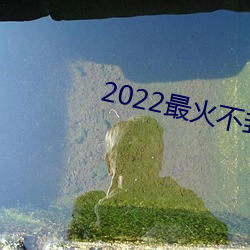 2022最火不封號直播