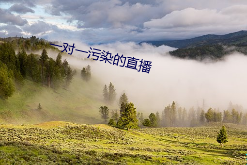 一对一(一)污染的(的)直播