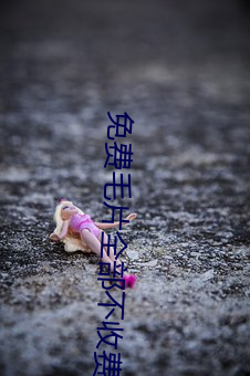 免費毛片全部不收費的