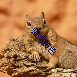 骚(sāo)虎(hǔ)黄色