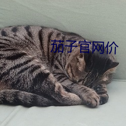 茄子官网价 （浮土）