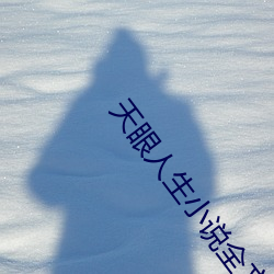 天眼人生小说全文免费阅读