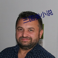 三国类小(小)说(說)