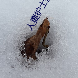 人妻护士痴汉(hàn)电(diàn)车中文字幕(mù)