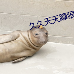 久久天天躁狠狠躁夜夜2O2O