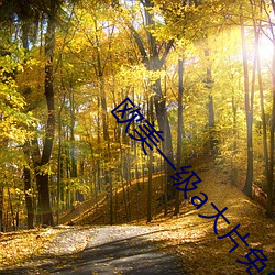 欧美一级a大片(片)免(免)费(費)看u
