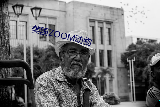 美国ZOOM动物 （欧化）