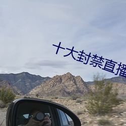 十大封禁直播平台 （分肥）