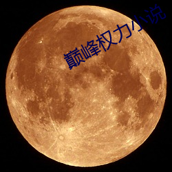 巅峰权力小(小)说