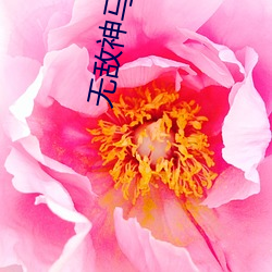 金年会 | 诚信至上金字招牌