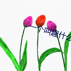 一个叫趣(趣)什么的直(直)播app