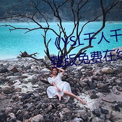 《YSL千人千色(色)T9T9T9最新》完(完)整(整)版(版)免费(費)在线观看