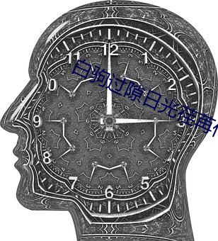 白驹(jū)过隙日光荏苒什(shén)么意思