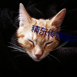 精東傳媒國産今日推薦