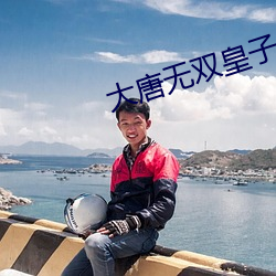 大唐无双皇(皇)子