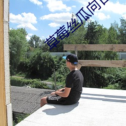 草莓絲瓜向日葵櫻桃榴蓮地