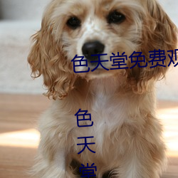 色天堂免费观看app下载v15.5.00 色天堂免费观看app下载安