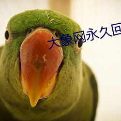 大象网(網)永久回家地址