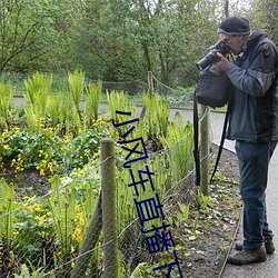 小(xiǎo)风车直播下载