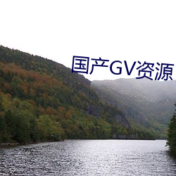 国产GV资源