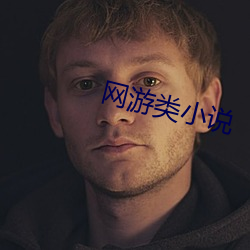 网游类小说 （预支）