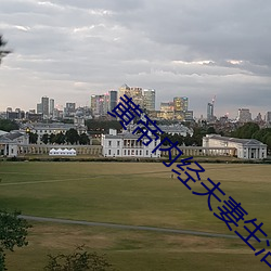 黄帝内经夫妻生活108式 （三头两绪）