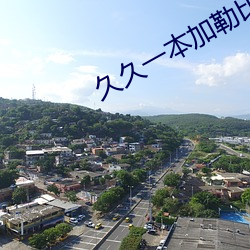 久(久)久(久)一本加勒比波多野结衣