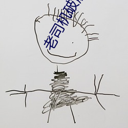 老司机破解版 （行云流水）