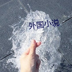 (外)国小(小)说